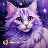 Передержка котов