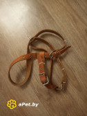 Шлейка для собак
