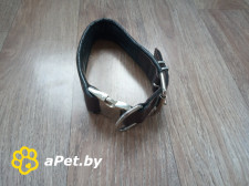 Ошейник для собак