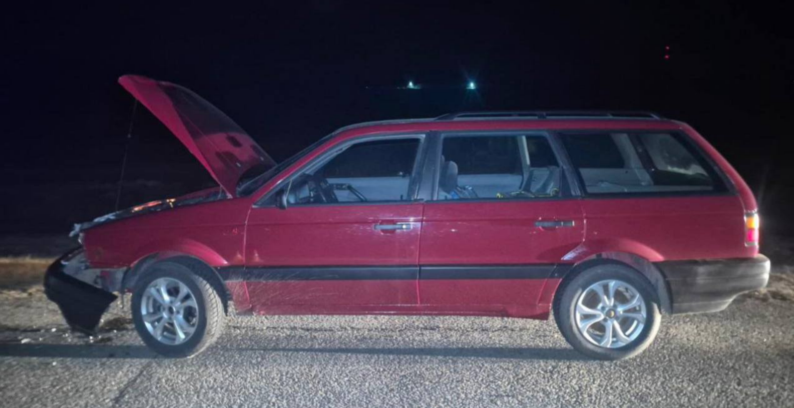 На М1 автомобиль сбил дикое животное